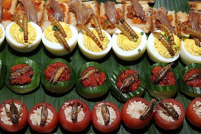 Insects as Food Amusing